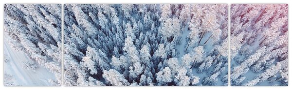 Obraz ośnieżonych drzew (170x50 cm)