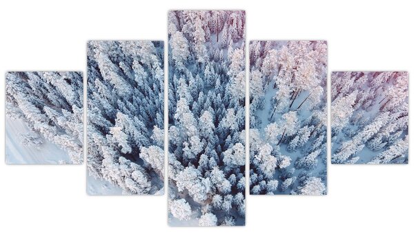 Obraz ośnieżonych drzew (125x70 cm)