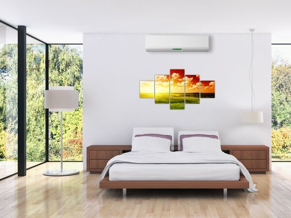 Obraz łąki ze świecącym słońcem (125x70 cm)