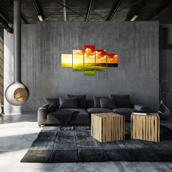 Obraz łąki ze świecącym słońcem (125x70 cm)