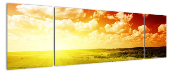 Obraz łąki ze świecącym słońcem (170x50 cm)