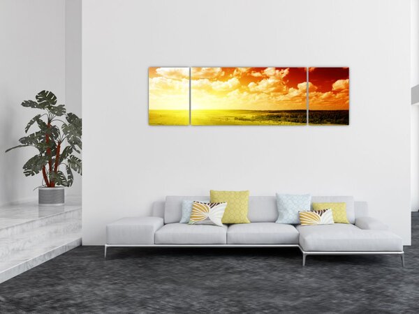Obraz łąki ze świecącym słońcem (170x50 cm)