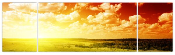 Obraz łąki ze świecącym słońcem (170x50 cm)
