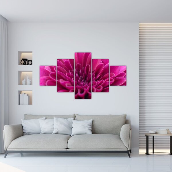 Obraz kwiatu (125x70 cm)