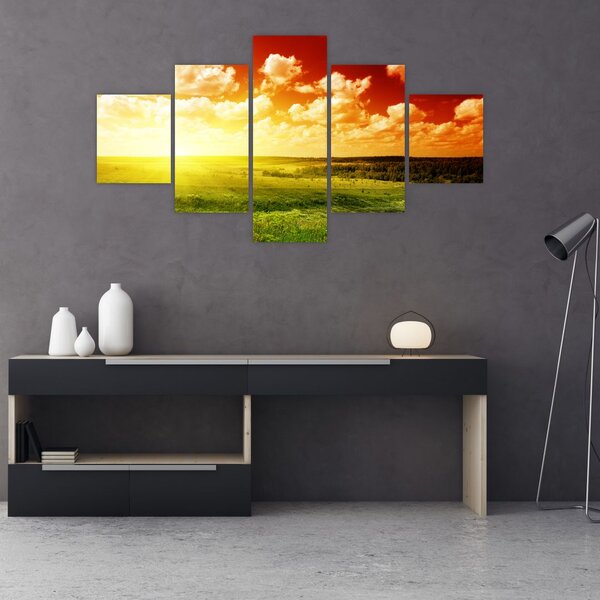 Obraz łąki ze świecącym słońcem (125x70 cm)