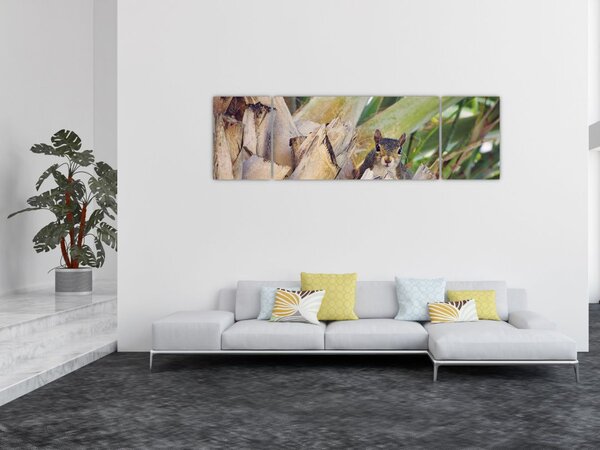 Obraz wiewiórki na drzewie (170x50 cm)