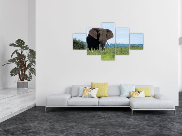 Obraz słonia (125x70 cm)