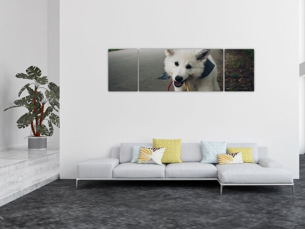 Obraz białego psa (170x50 cm)