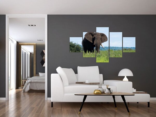 Obraz słonia (125x70 cm)