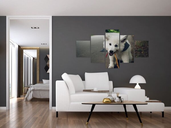 Obraz białego psa (125x70 cm)