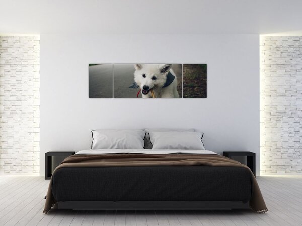 Obraz białego psa (170x50 cm)