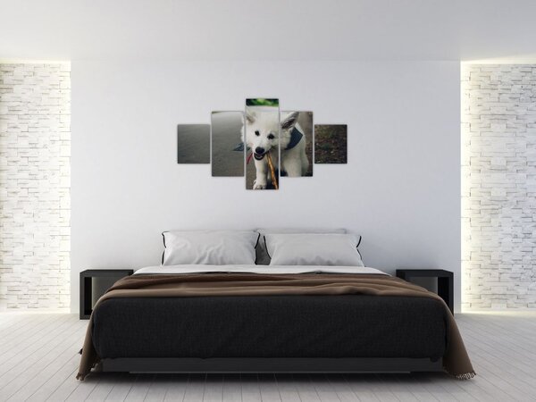 Obraz białego psa (125x70 cm)