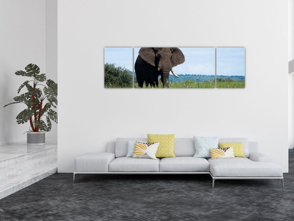 Obraz słonia (170x50 cm)