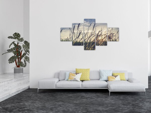 Obraz kwiatów łąkowych (125x70 cm)
