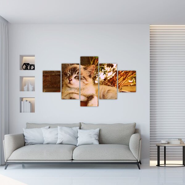 Obraz kota w doniczce (125x70 cm)