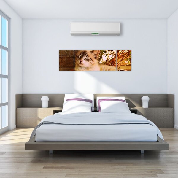 Obraz kota w doniczce (170x50 cm)