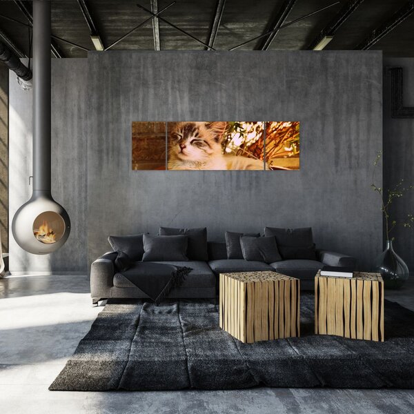 Obraz kota w doniczce (170x50 cm)