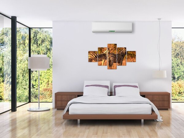 Obraz zebr (125x70 cm)