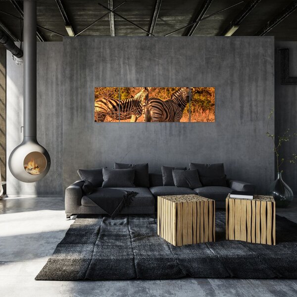 Obraz zebr (170x50 cm)
