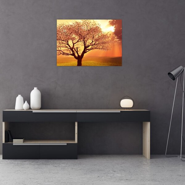 Obraz promieni Boga (70x50 cm)