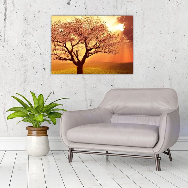 Obraz promieni Boga (70x50 cm)