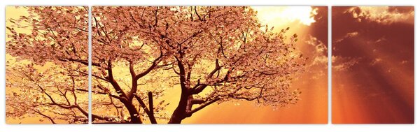 Obraz promieni Boga (170x50 cm)