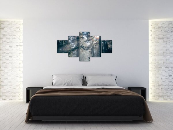 Obraz drzew, przez które prześwieca słońce (125x70 cm)