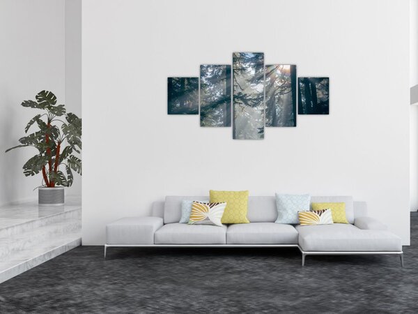 Obraz drzew, przez które prześwieca słońce (125x70 cm)