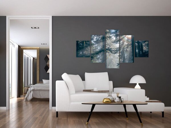 Obraz drzew, przez które prześwieca słońce (125x70 cm)