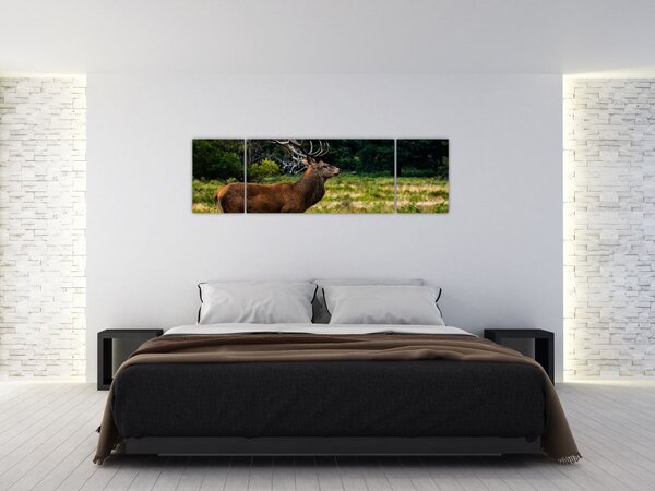 Obraz jelenia (170x50 cm)