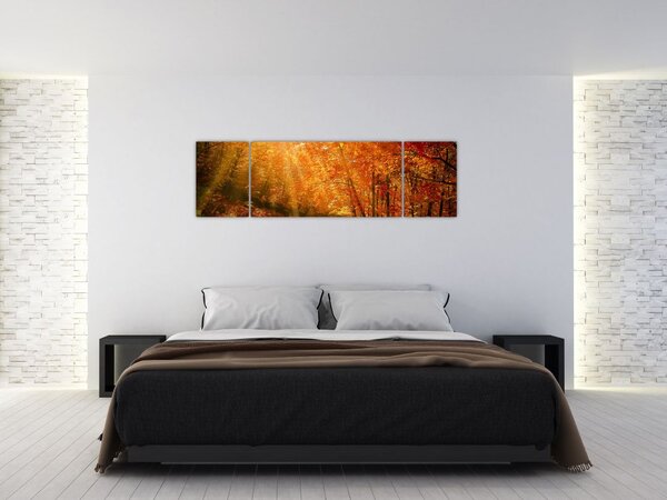 Obraz jesiennego lasu (170x50 cm)