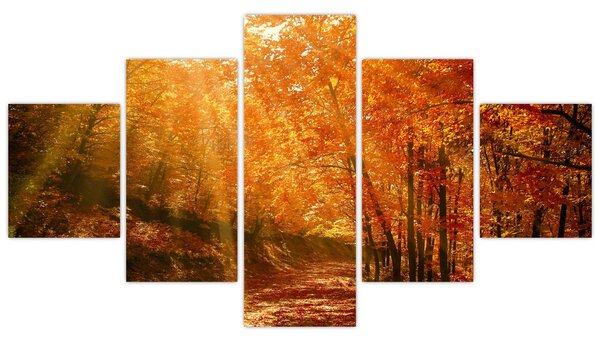Obraz jesiennego lasu (125x70 cm)
