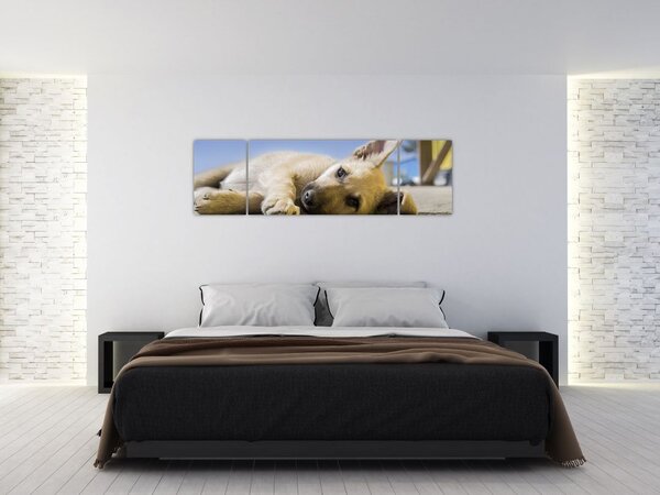 Obraz leżącego szczeniaka (170x50 cm)