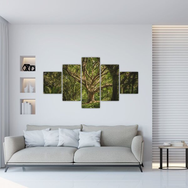 Obraz drzewa (125x70 cm)