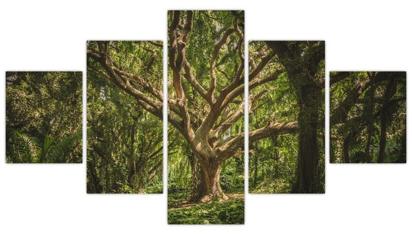 Obraz drzewa (125x70 cm)