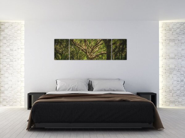 Obraz drzewa (170x50 cm)