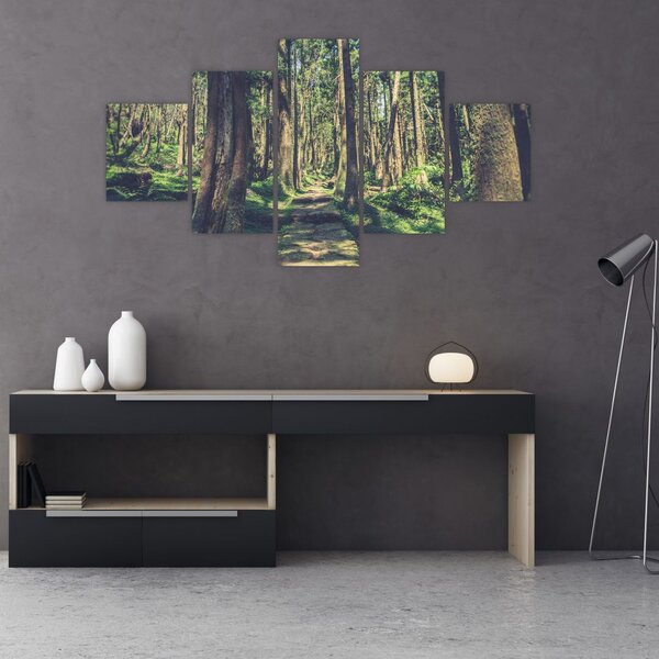 Obraz ścieżki pomiędzy drzewami (125x70 cm)