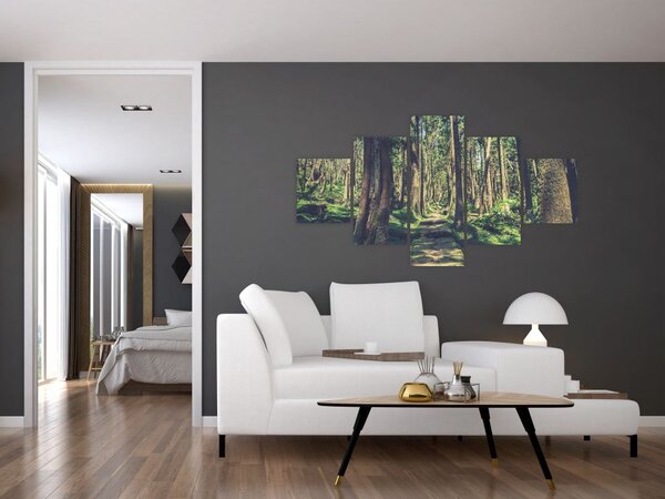 Obraz ścieżki pomiędzy drzewami (125x70 cm)