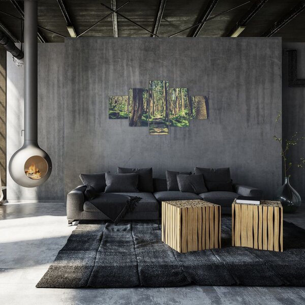 Obraz ścieżki pomiędzy drzewami (125x70 cm)