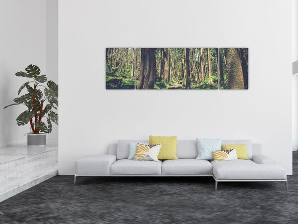 Obraz ścieżki pomiędzy drzewami (170x50 cm)