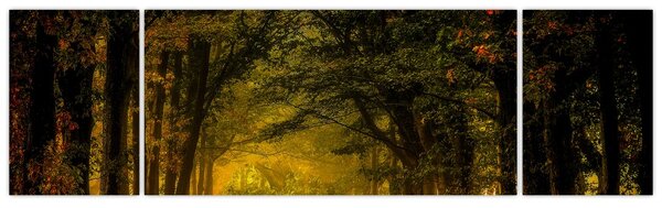Obraz lasu (170x50 cm)