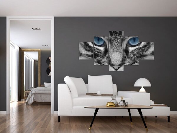 Obraz kota (125x70 cm)