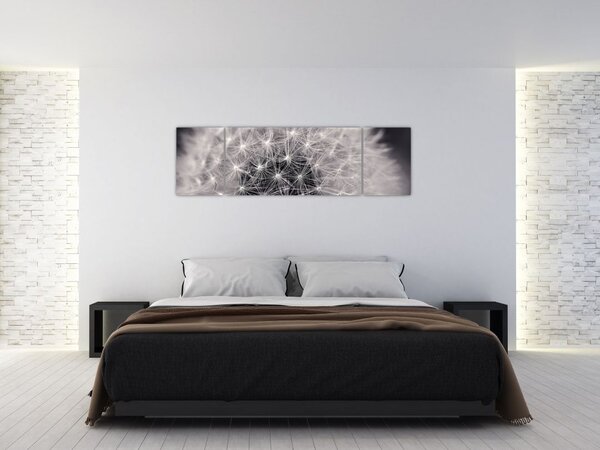 Obraz dmuchawca (170x50 cm)