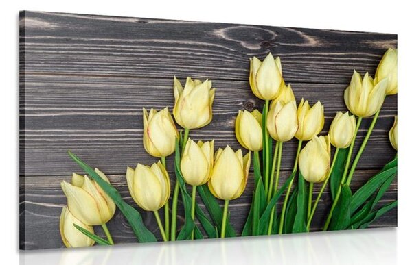 Obraz urocze żółte tulipany na drewnianym tle