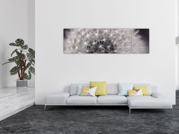 Obraz dmuchawca (170x50 cm)
