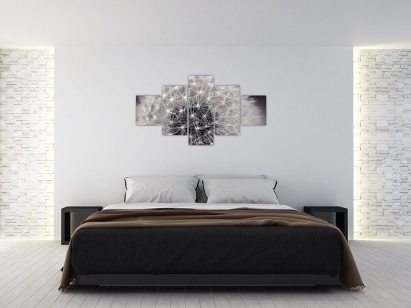 Obraz dmuchawca (125x70 cm)
