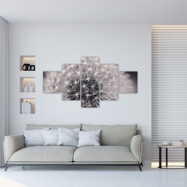 Obraz dmuchawca (125x70 cm)