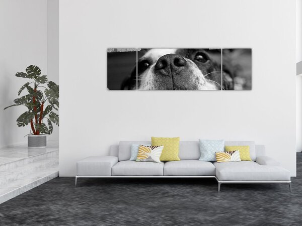 Obraz psa (170x50 cm)