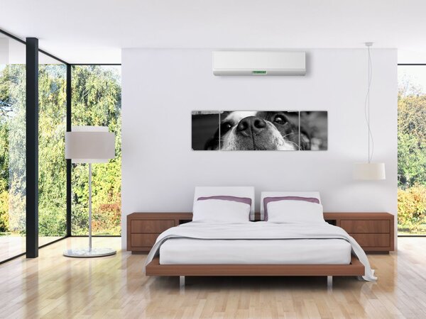 Obraz psa (170x50 cm)