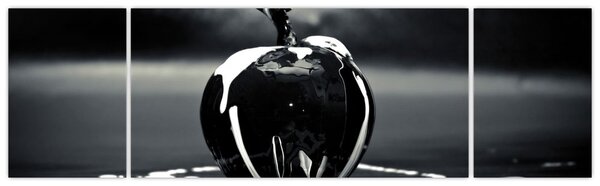 Obraz czarnego jabłka (170x50 cm)